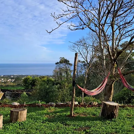 View Biscoitos