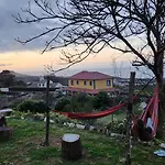 View *
