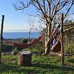 View Apartman Biscoitos