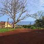 View Biscoitos