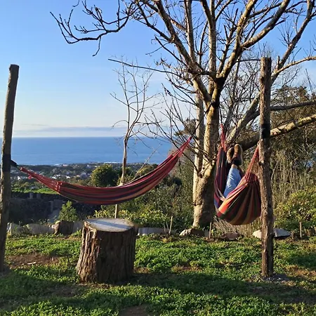 View 公寓 Biscoitos (Terceira)