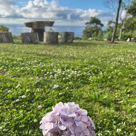 View *