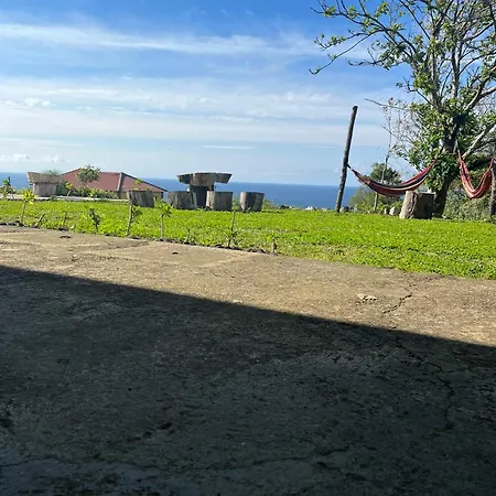 View *